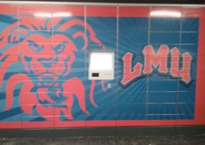 Lmu Custom Wall Graphic By Optimum Signs In Milwaukee
